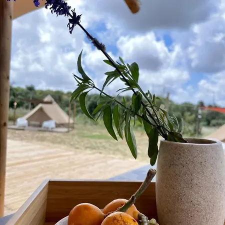 אוהל מפואר Tent E *